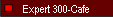 Expert 300-Cafe