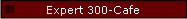 Expert 300-Cafe